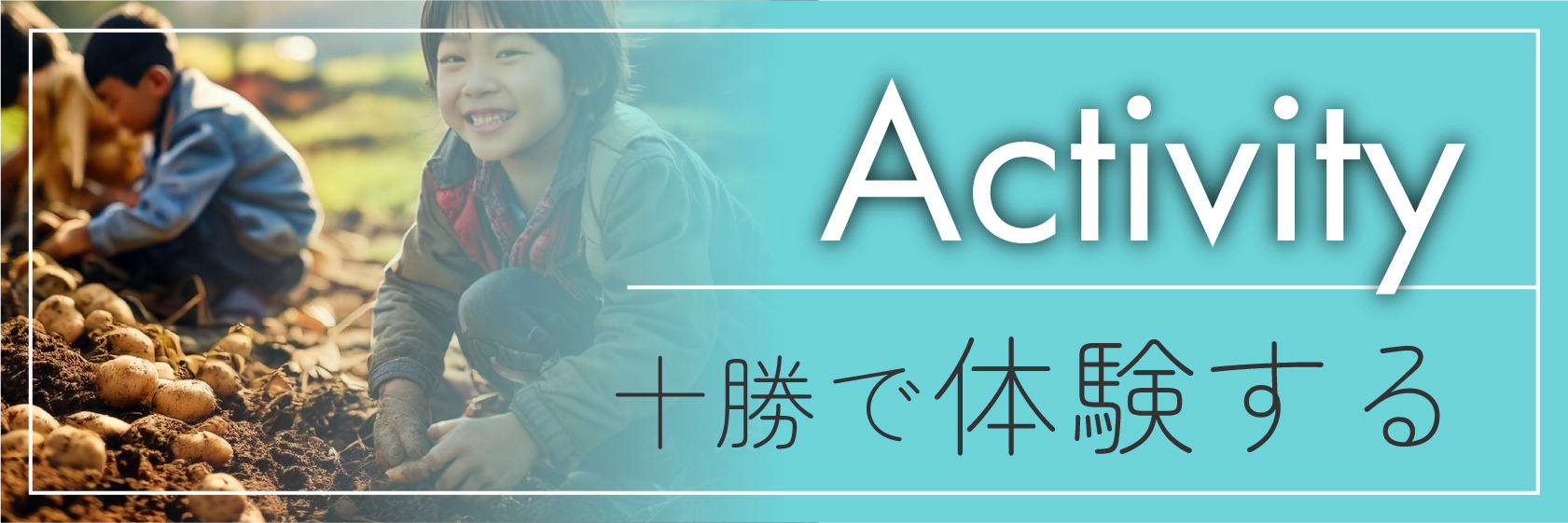 アクティビティ紹介