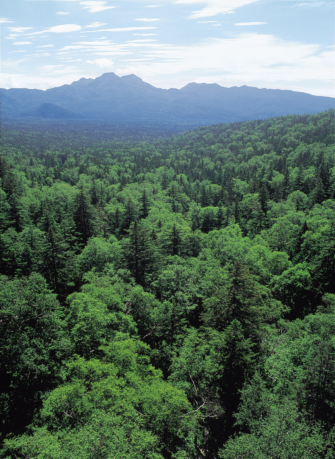 三国峠展望台(三国峠café)