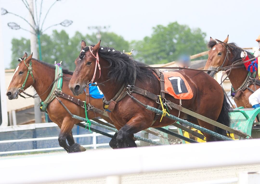 帯広競馬場