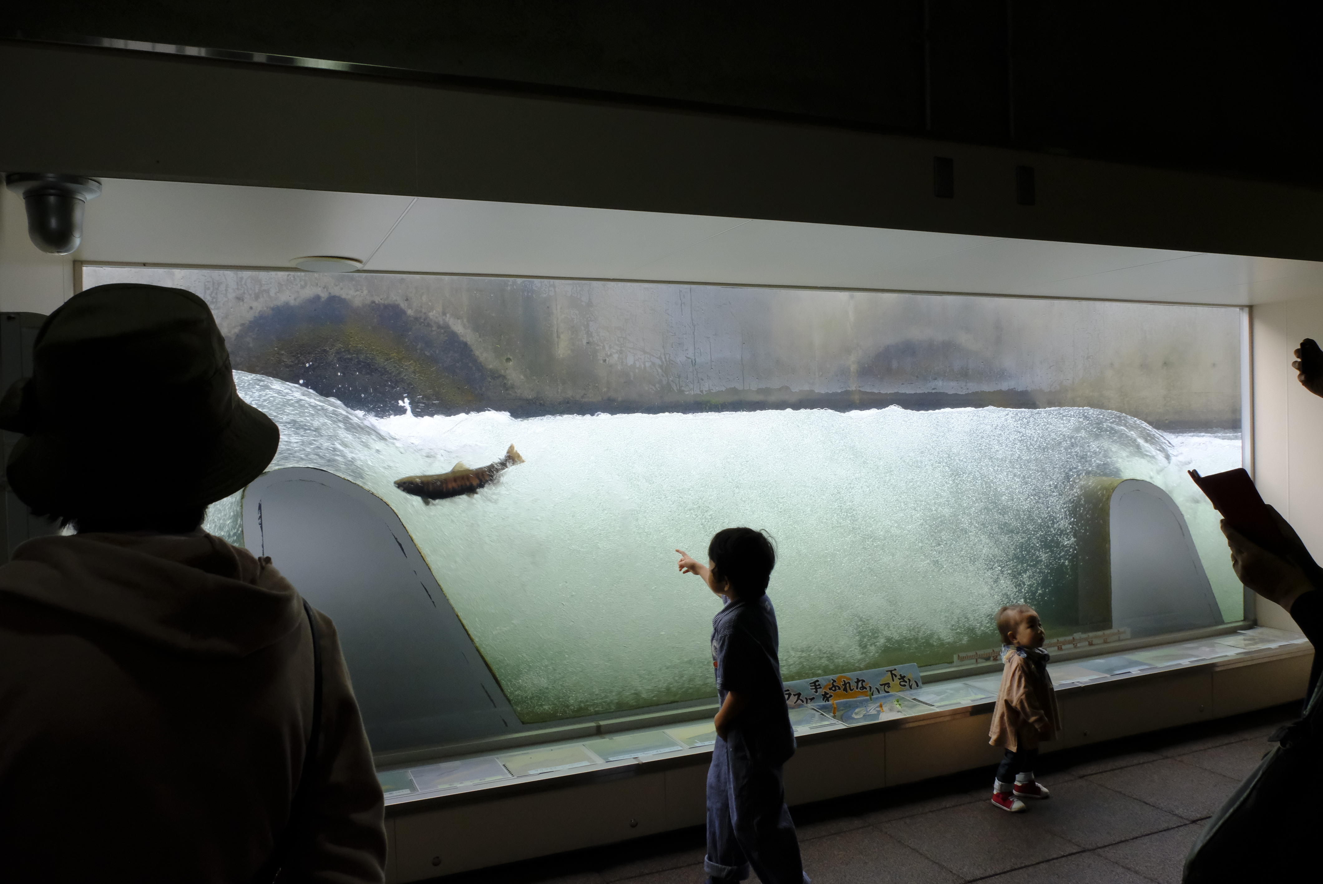 魚道観察室ととろーど