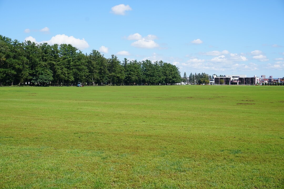 緑ヶ丘公園