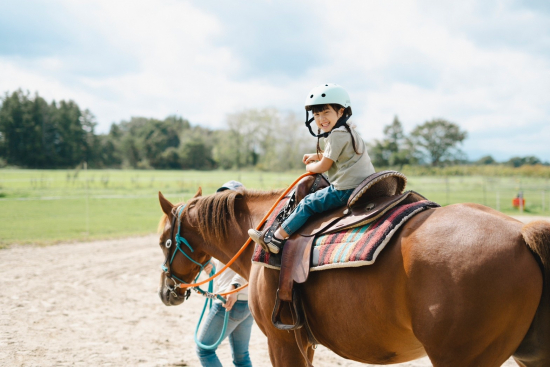 さらべつポニーパーク